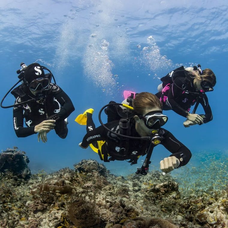 Tres buceadores explorando el fondo marino