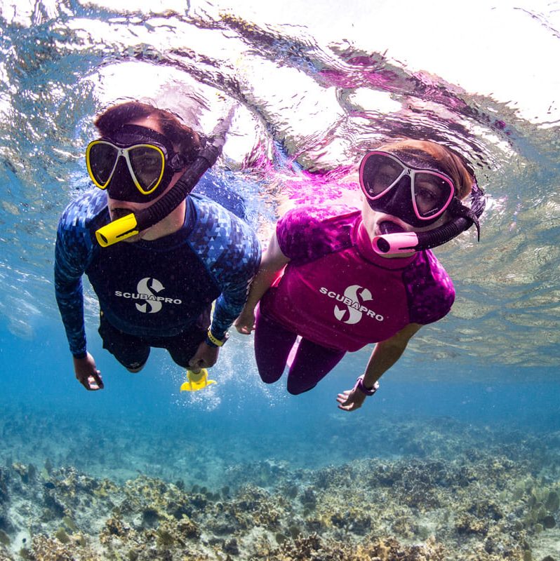 Dos clientes haciendo la actividad de snorkel