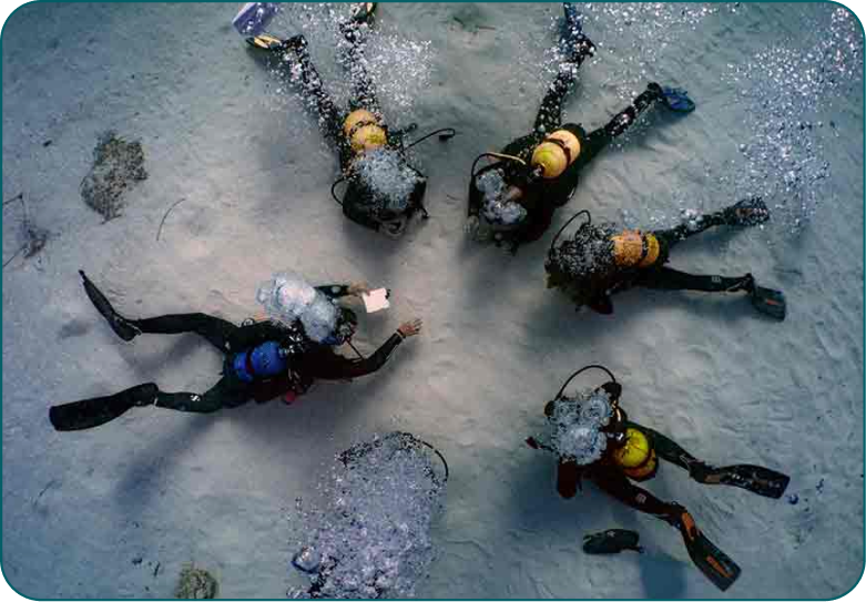 Cuatro clientes y un instructor haciendo submarinismo