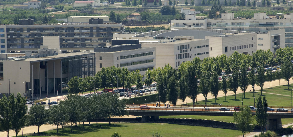 Vista panoràmica del campus universitari de Cappont a Lleida. Es poden veure diversos edificis moderns envoltats de vegetació i arbres alineats. Davant dels edificis hi ha una avinguda amb cotxes i un pont per a vianants que creua una zona verda.