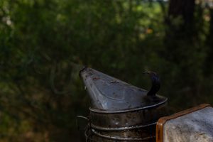 L'Apicultura: El Pilar de l'Ecosistema.