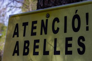 L'Apicultura: El Pilar de l'Ecosistema.